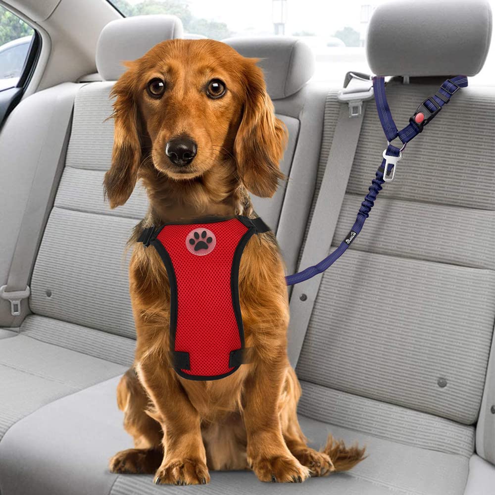 SlowTon Adjustable Dog Car Seat Belt - 2 Pack Pet Safety Harness with Elastic Bungee Buffer & Reflective Tether | Headrest + Clip Attachment | Perfect for Road Trips, Vet Visits & Daily Commutes (Blue)