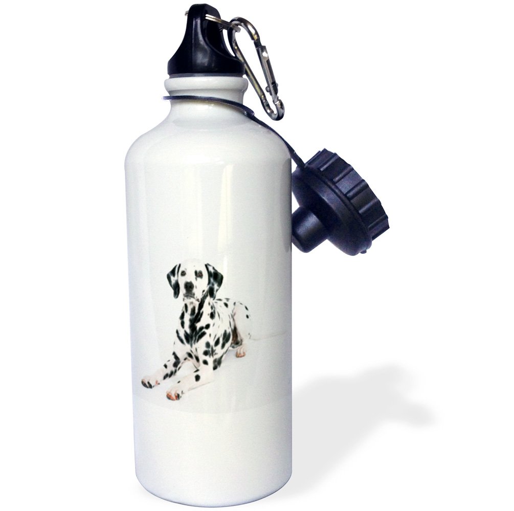 3D Rose Majestic Dalmatian Portrait Sports Water Bottle - 21 oz Insulated Stainless Steel Water Bottle for Gym, Hiking & Outdoor Activities - White