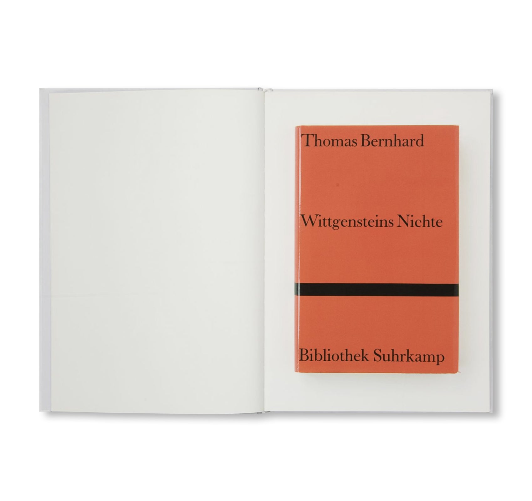 New Books Edited by Daniela Comani - Latest Releases for Literature Enthusiasts & Book Collectors | Perfect for Reading, Gifting & Home Library Decor