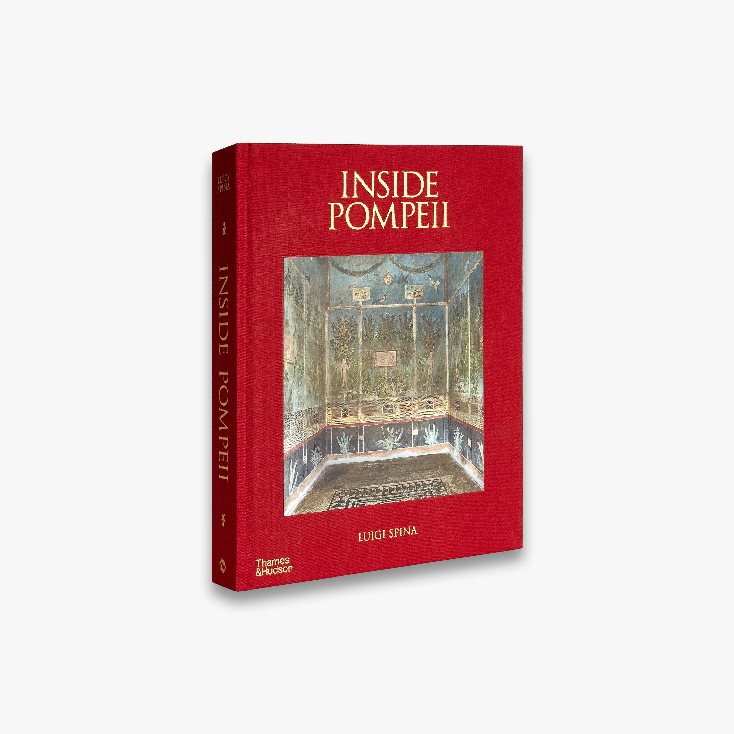 Inside Pompeii: A Financial Times Best Book of 2023 - Ancient Roman History & Archaeology Guide for Travelers and History Enthusiasts