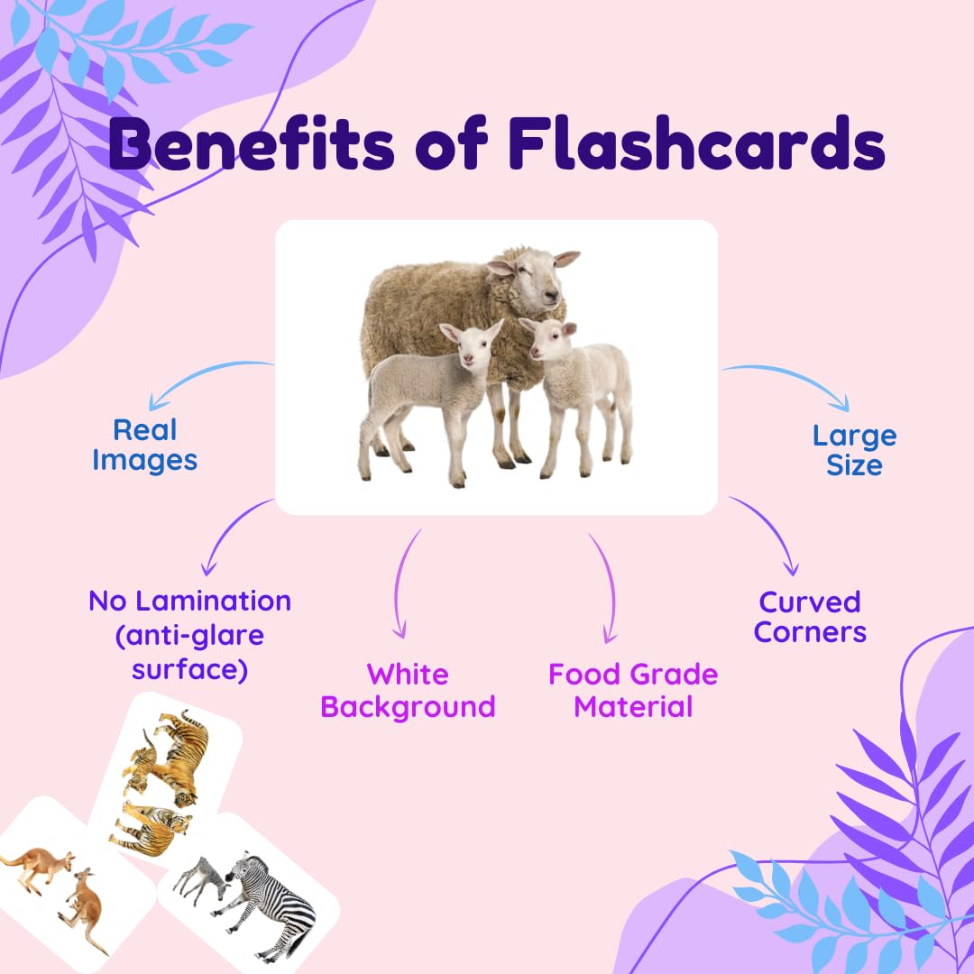 Hungry Brain Toddler Flash Cards - 24 Double-Sided A5 Animal & Baby Animal Learning Cards for Preschool Education (3 Months to 6 Years) | Perfect for Early Childhood Development, Homeschooling & Montessori Activities