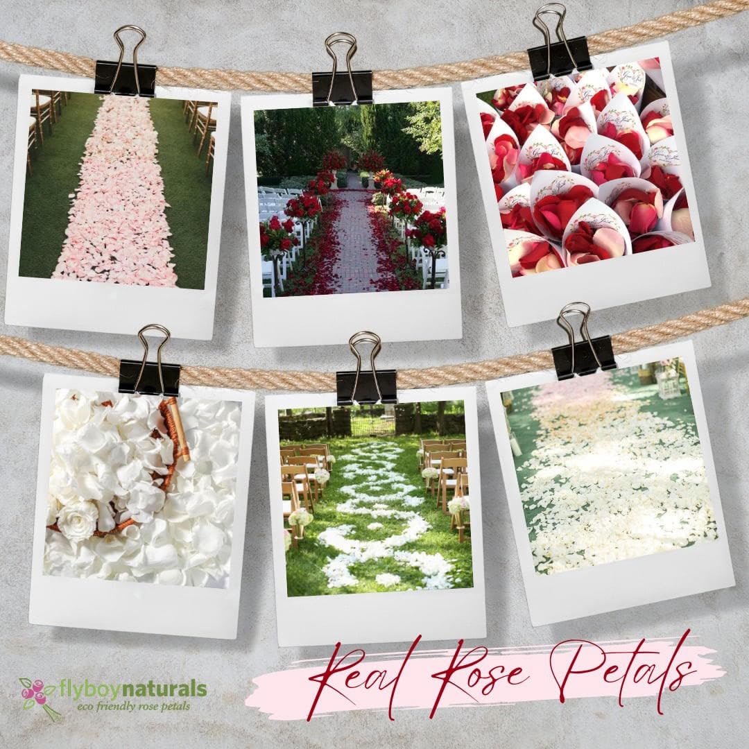2000+ Freeze-Dried Ivory Rose Petals (60 Cups) - Premium Wedding Decor by Flyboy Naturals | Perfect for Aisle Scattering, Table Centerpieces & Romantic Events