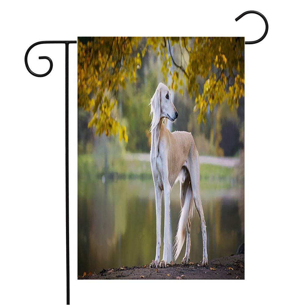 Saluki Persian Greyhound Garden Flag - Cute Animal Wildlife Decor for Patio, Lawn & Outdoor Home - Seasonal Welcome Flag 12x18 Inch - Perfect Gift for Dog Lovers & Garden Enthusiasts