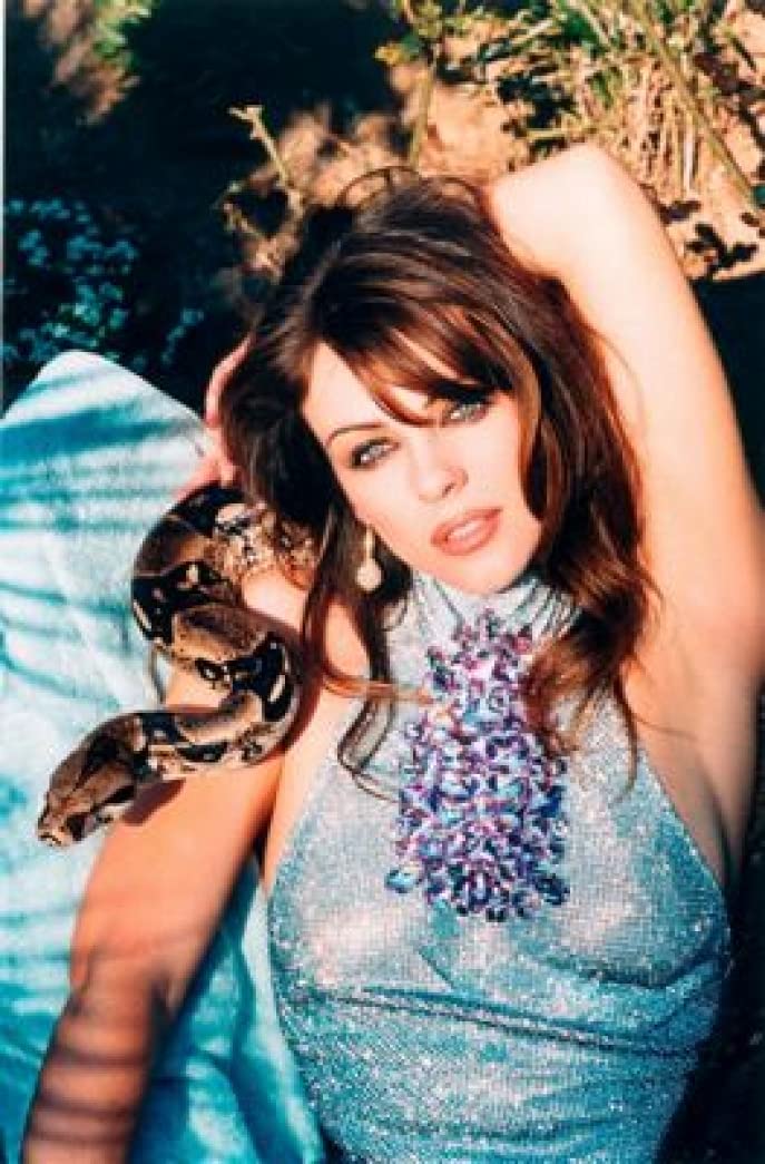Spot Dog Elizabeth Hurley - 18x24 Inch Vintage Poster Print (ID: PDI678146) - Perfect for Home Decor, Movie Room, or Gift for Dog Lovers
