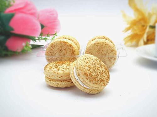 6 Pack Gluten Free French Cinnamon Roll Macarons - Delicious Almond Flour Cookies for Gifts, Parties & Dessert Lovers