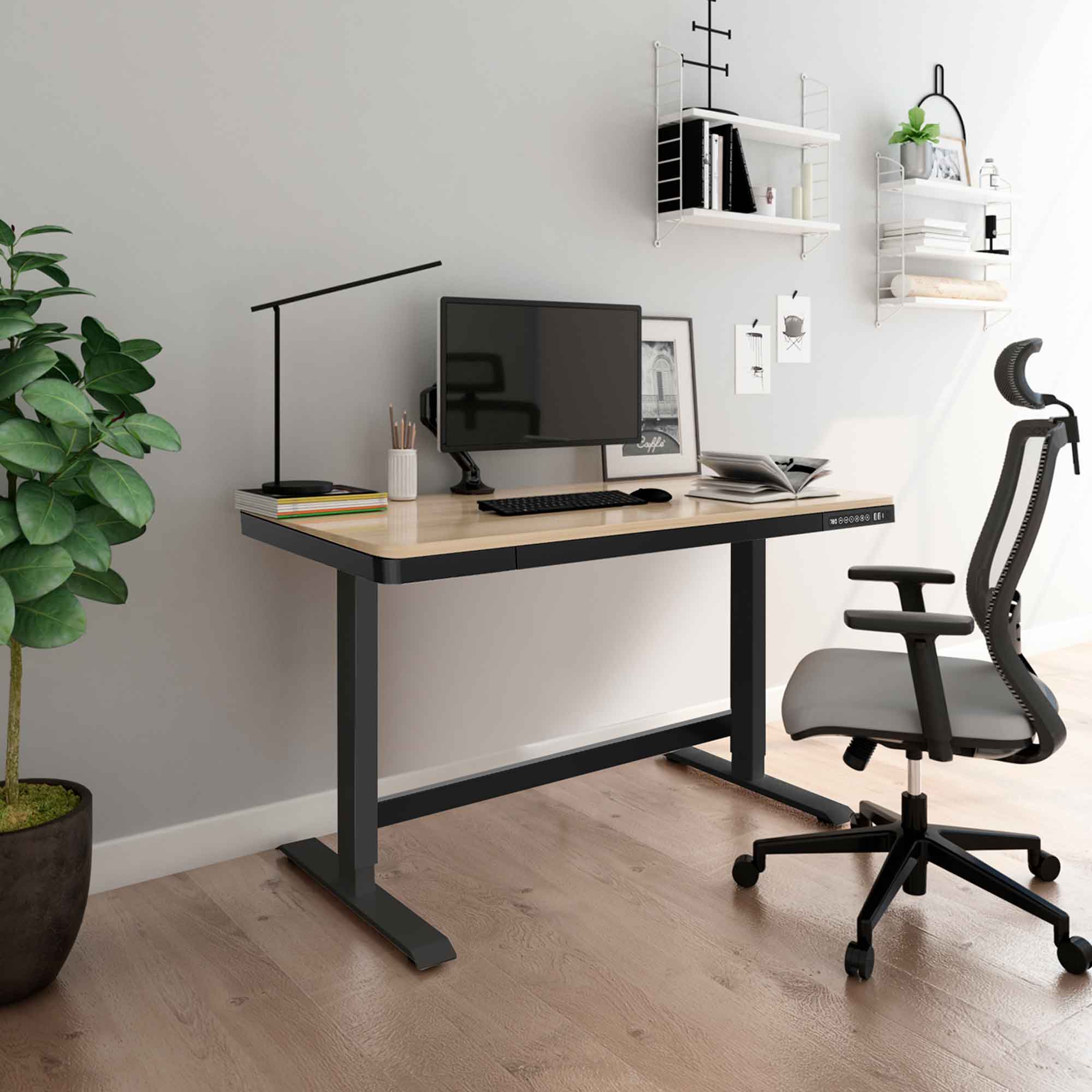 Adjustable Single Motor Sit Stand Desk - 47.2