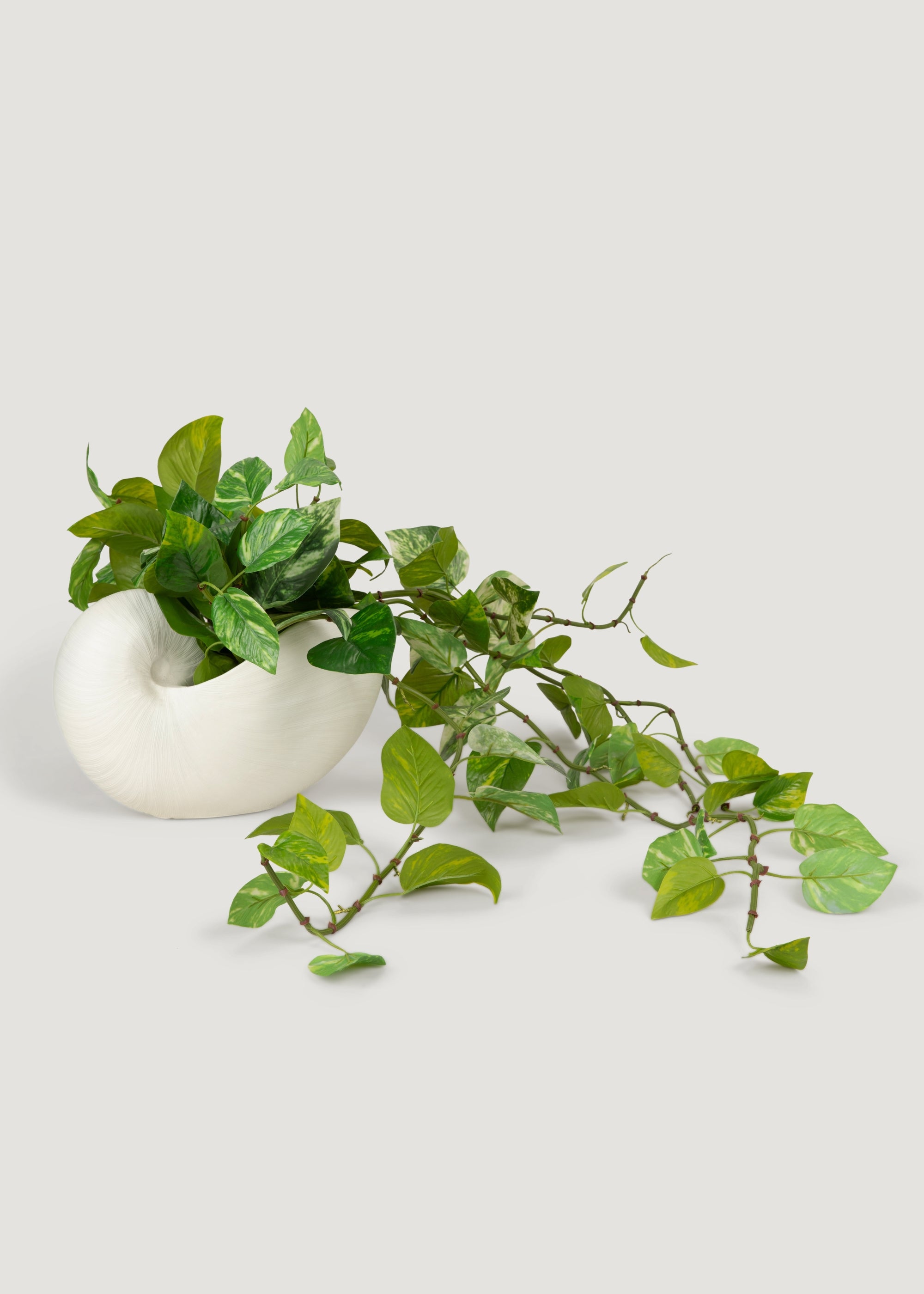 Natural Touch Variegated Pothos Artificial Hanging Plant - 27 Inch Fake Vine for Home Decor, Office, Living Room & Indoor Greenery