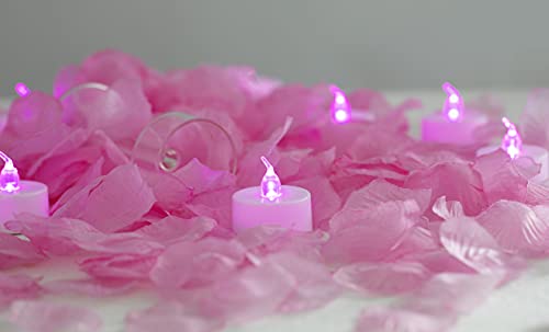 Pink Lights with Pink Rose Petals