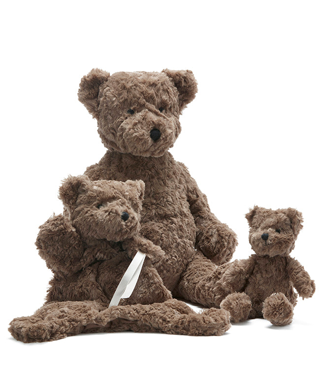 Grow Your Own Bear Kit - Fun DIY Bear Growing Set for Kids | Perfect for Birthday Gifts & Science Experiments
