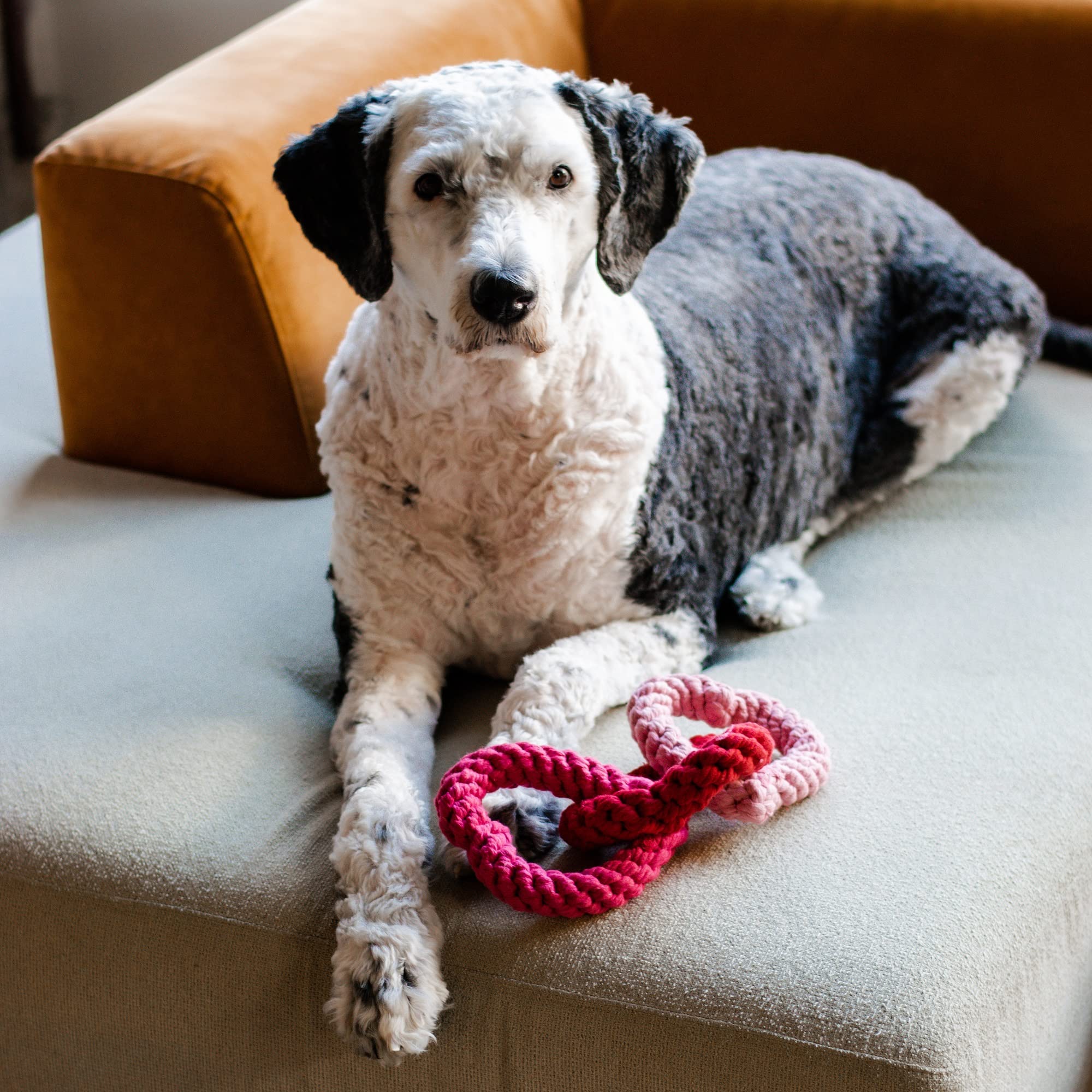 Midlee Interlocking Heart Rope Valentine Dog Toy - 6 Inch Pink & Red Small Tug Toy for Puppies - Perfect for Valentine's Day Playtime, Training, and Bonding with Your Pet