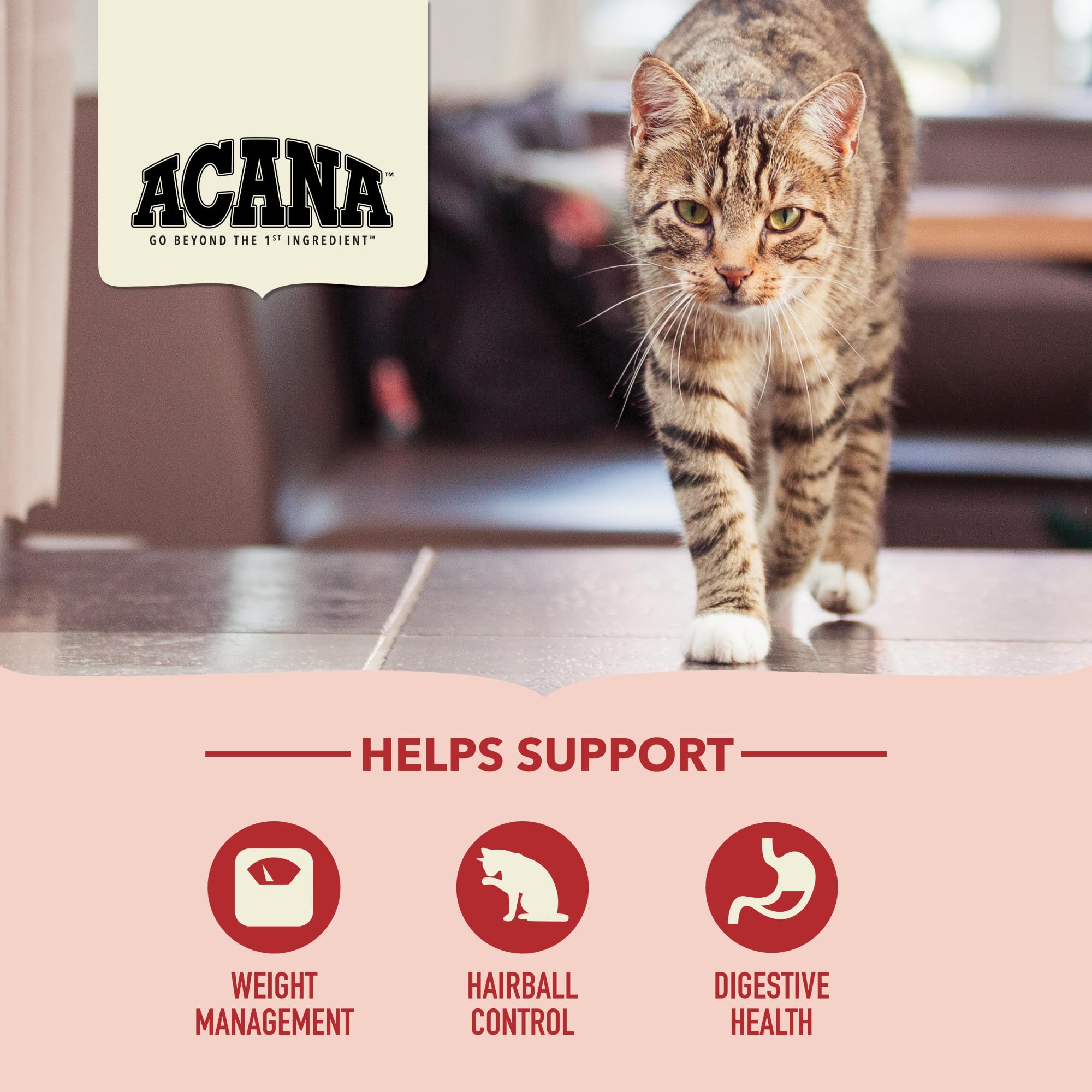 ACANA Indoor Entree Dry Cat Food for Adult Cats - Free Run Chicken & Turkey Recipe, 10 lb Bag - High Protein Grain-Free Kibble for Indoor Cats with Sensitive Stomachs | Perfect for Daily Feeding & Weight Management