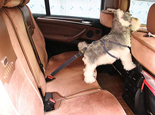 Adjustable Dog Seat Belt for Car Safety - Durable Nylon & Denim Pet Harness with Vehicle Lash Leads - Secure Travel for Small & Medium Dogs (Black) - Perfect for Road Trips & Daily Commutes