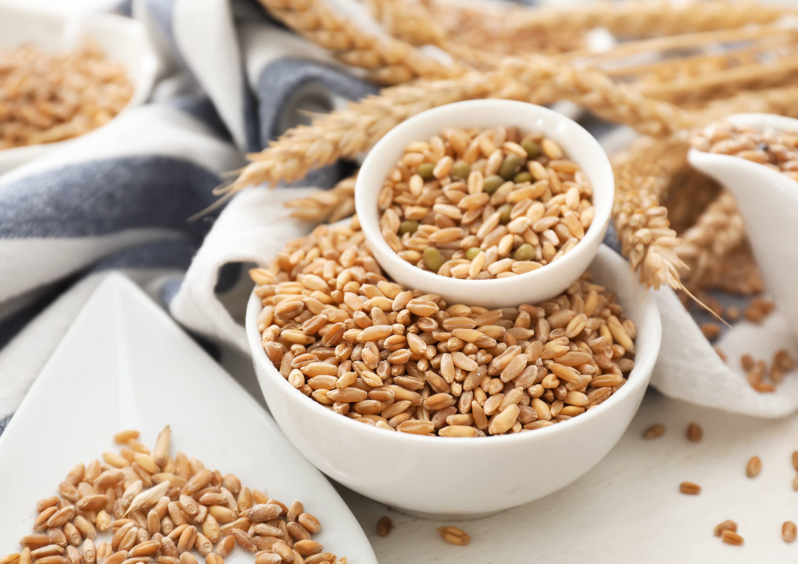 Food to Live Hard Red Wheat Berries, 5 Pounds – Organic Sprouting Seeds for Wheatgrass, Bread Making & Home Gardening | Kosher, Raw, Vegan, Non-GMO Bulk Wheat | Perfect for Juicing, Baking & Healthy Recipes