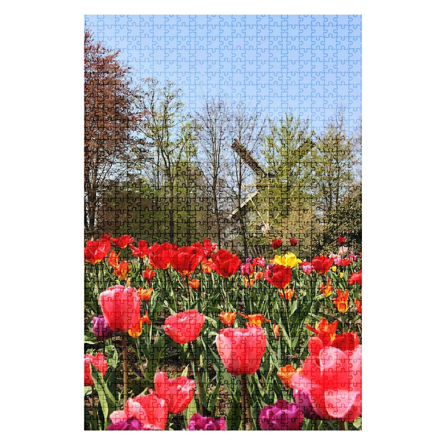 1000-Piece Wooden Jigsaw Puzzle - Holland Windmills & Tulip Fields Scenery - Challenging DIY Toy for Adults & Kids - Perfect for Family Game Nights, Stress Relief & Home Decor