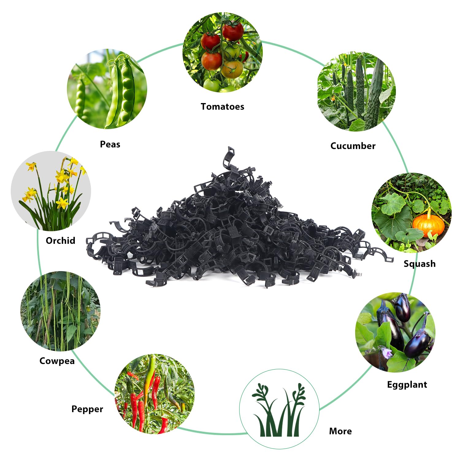 200Pcs Black Plant Support Clips - Heavy Duty Tomato Clips for Climbing Plants, Garden Trellis Clips for Vine Support - Perfect for Tomatoes, Cucumbers, Beans & Vertical Gardening