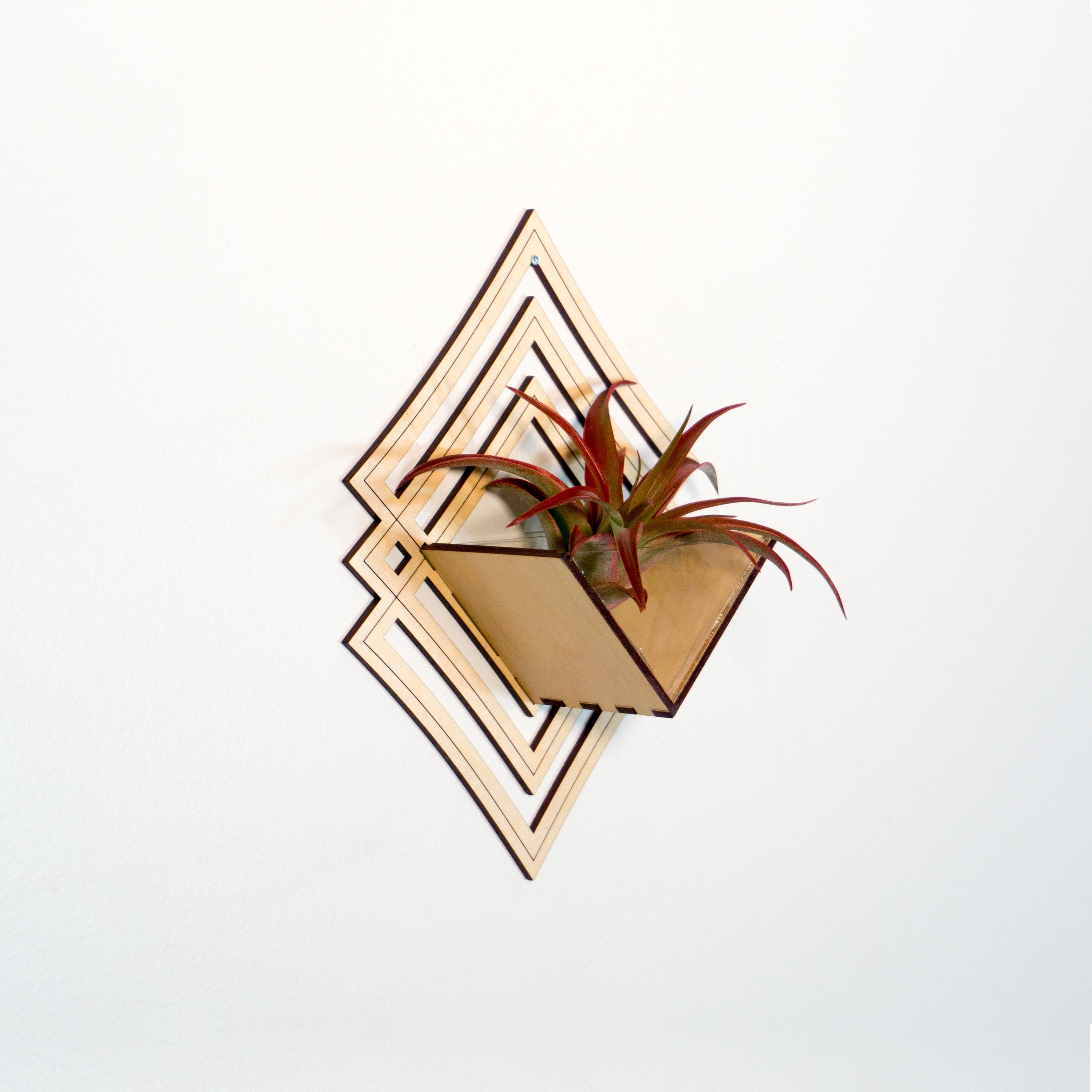 Modern Handmade Wood Wall Hanging Planter Set of 6 - Air Plant Holder & Mounted Display Hanger for Home Decor - Perfect Plant Lover Gift & Living Art for Living Room, Bedroom, or Office