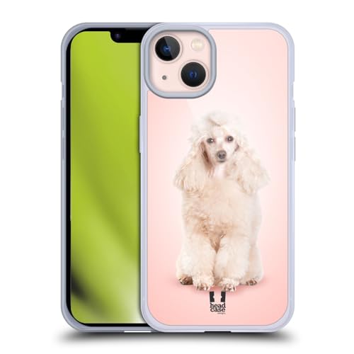 Portrait Of Poodle Dog
