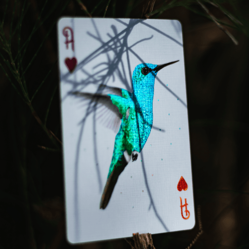 Premium Red Marvelous Hummingbird Feathers Playing Cards - Elegant Deck for Poker, Magic Tricks & Collectors | Perfect for Game Nights, Gifts & Cardistry