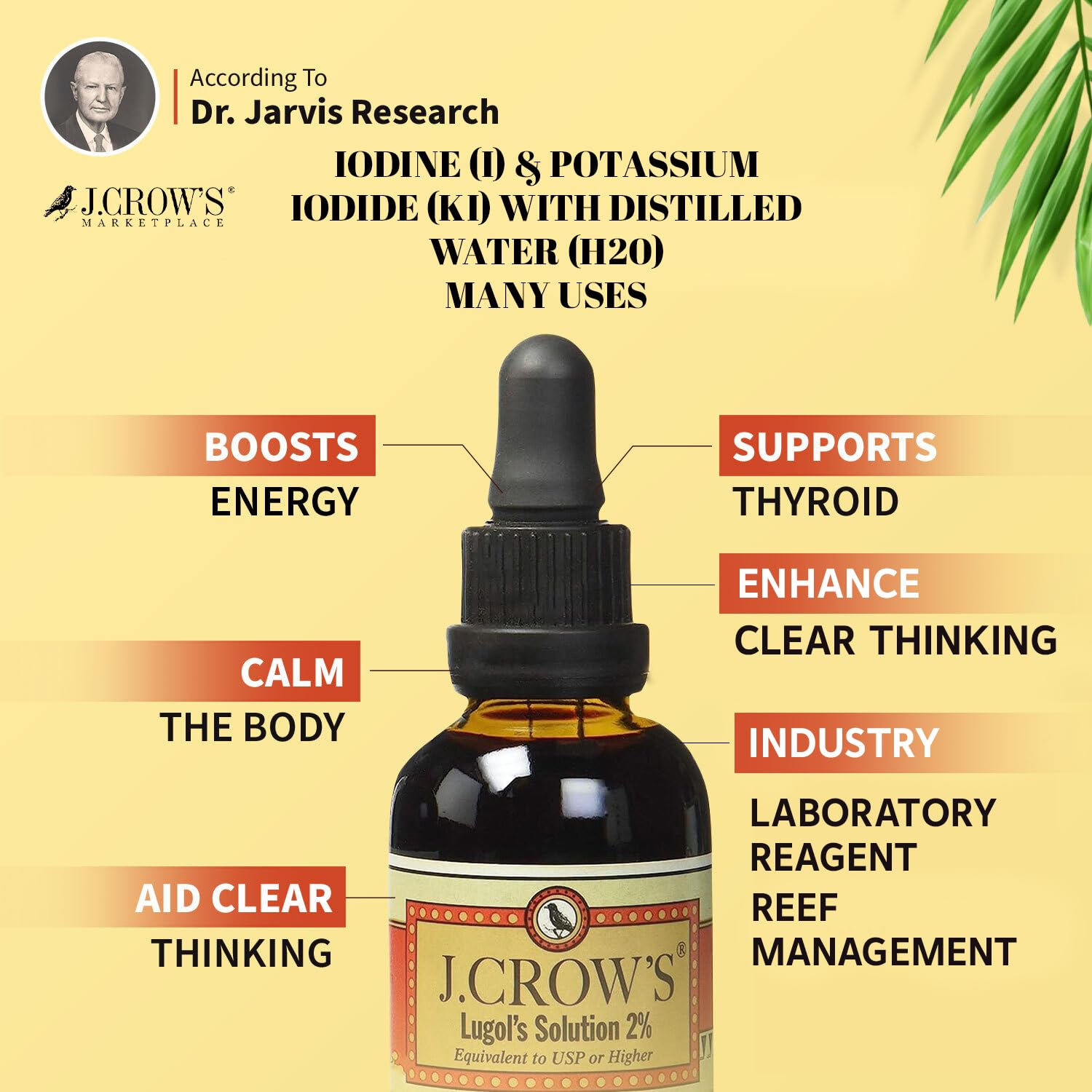Premium J.CROW'S® Lugol's Iodine Solution 2% (2oz, 12 Bottles) - Natural Potassium Iodide Liquid for Thyroid Support & Energy Boost | Gluten-Free, Alcohol-Free, No Expiration | Ideal for Thyroid Health, Survival Kits & Emergency Preparedness