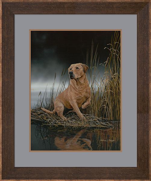Yellow Labrador Retriever Paper Print - High-Quality Dog Artwork for Home & Office Decor | Perfect for Pet Lovers & Animal-Themed Interior Design