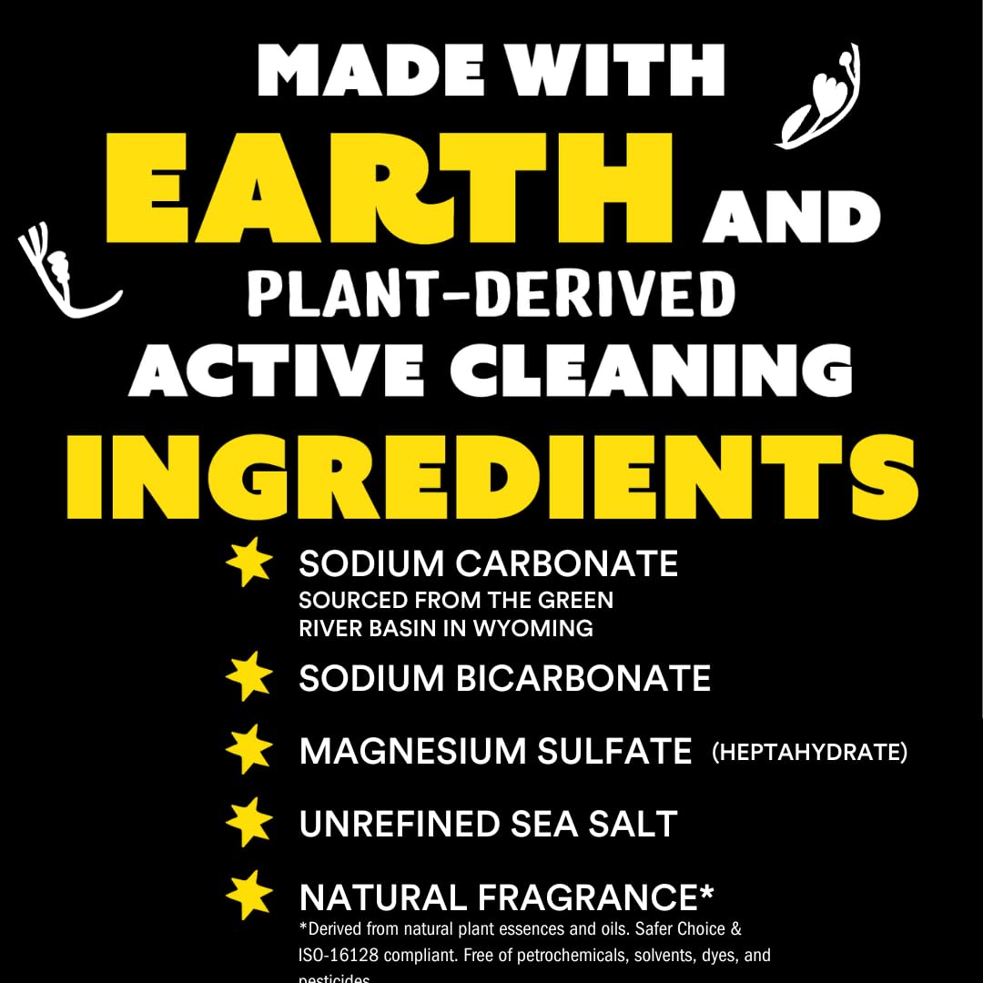 Molly's Suds Original Laundry Detergent Powder for Sensitive Skin - Plant-Based, Eco-Friendly Stain Remover with Lavender Scent (120 Loads) | Gentle on Baby Clothes, Hypoallergenic for Eczema & Allergies | Perfect for HE Washers, Cloth Diapers & Organic Fabrics