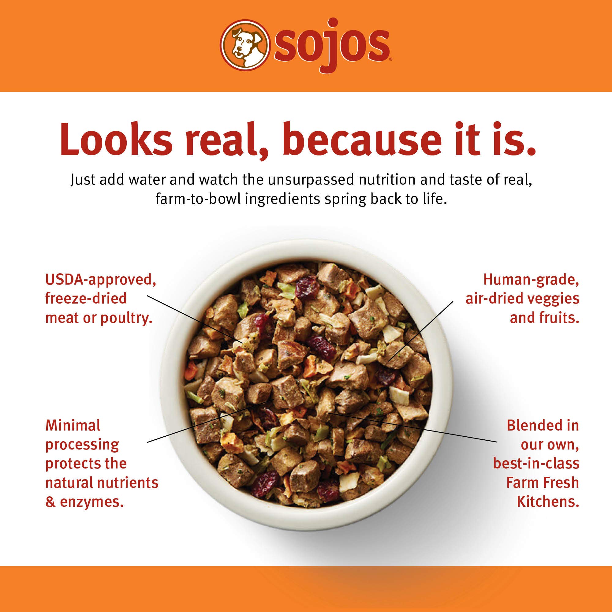Sojos Complete Lamb Recipe Dehydrated Dog Food - Grain Free, Natural & Healthy 7 lb Bag for Small & Large Dogs - Perfect for Travel, Hiking & Outdoor Adventures