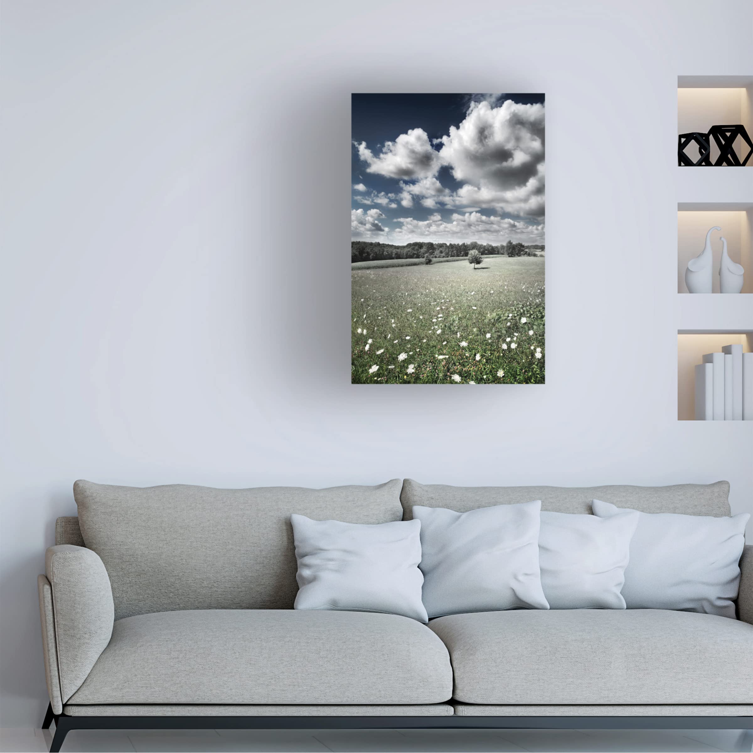 Ben Heine 'Meadow' Canvas Wall Art Print - Modern Landscape Painting for Living Room, Bedroom & Office Decor | Trademark Fine Art Collection