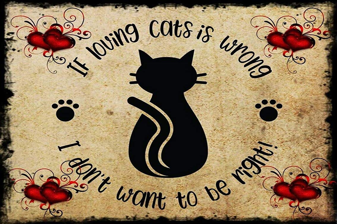 Funny Cat Decor Sign - 'If Loving Cats is Wrong I Don't Want to Be Right' - Cute Cat Lover Wall Art for Home, Office, or Gift