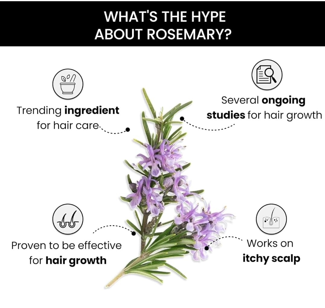 100% Pure Rosemary Essential Oil - 2 Pack (15ml Each) for Skin Care, Hair Growth & Aromatherapy | Undiluted Therapeutic Grade for Diffusers, Massage & DIY Beauty