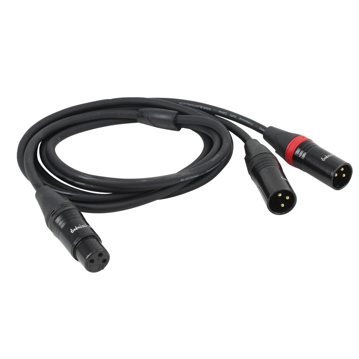 Blastking CYXLR2M1F 5ft XLR Cable - 2 Male to 1 Female XLR Microphone Cable for Live Sound, Studio Recording & DJ Equipment - Durable Balanced Audio Connector for Professional Audio Setup
