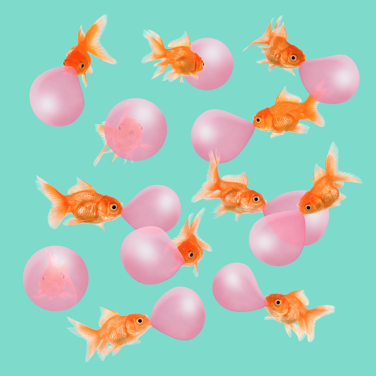 Bubblegum Goldfish - Fun & Chewy Bubble Gum Candy for Kids, Parties & Gifts | Sweet Treats for Birthdays, Halloween & Snack Time