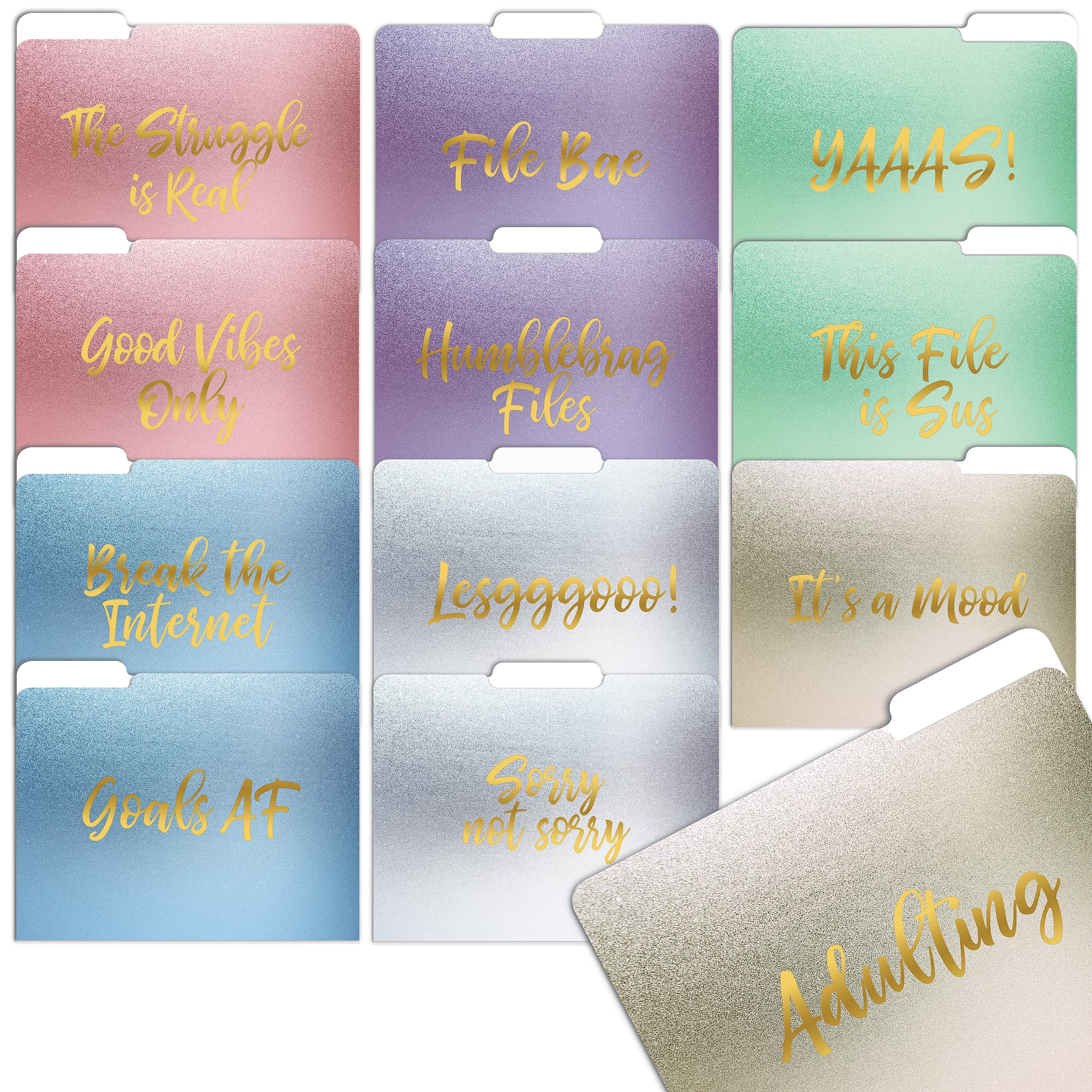 Premium Decorative File Folders 12 Pack - 12 Stylish Designs, Heavyweight Letter Size (9.5