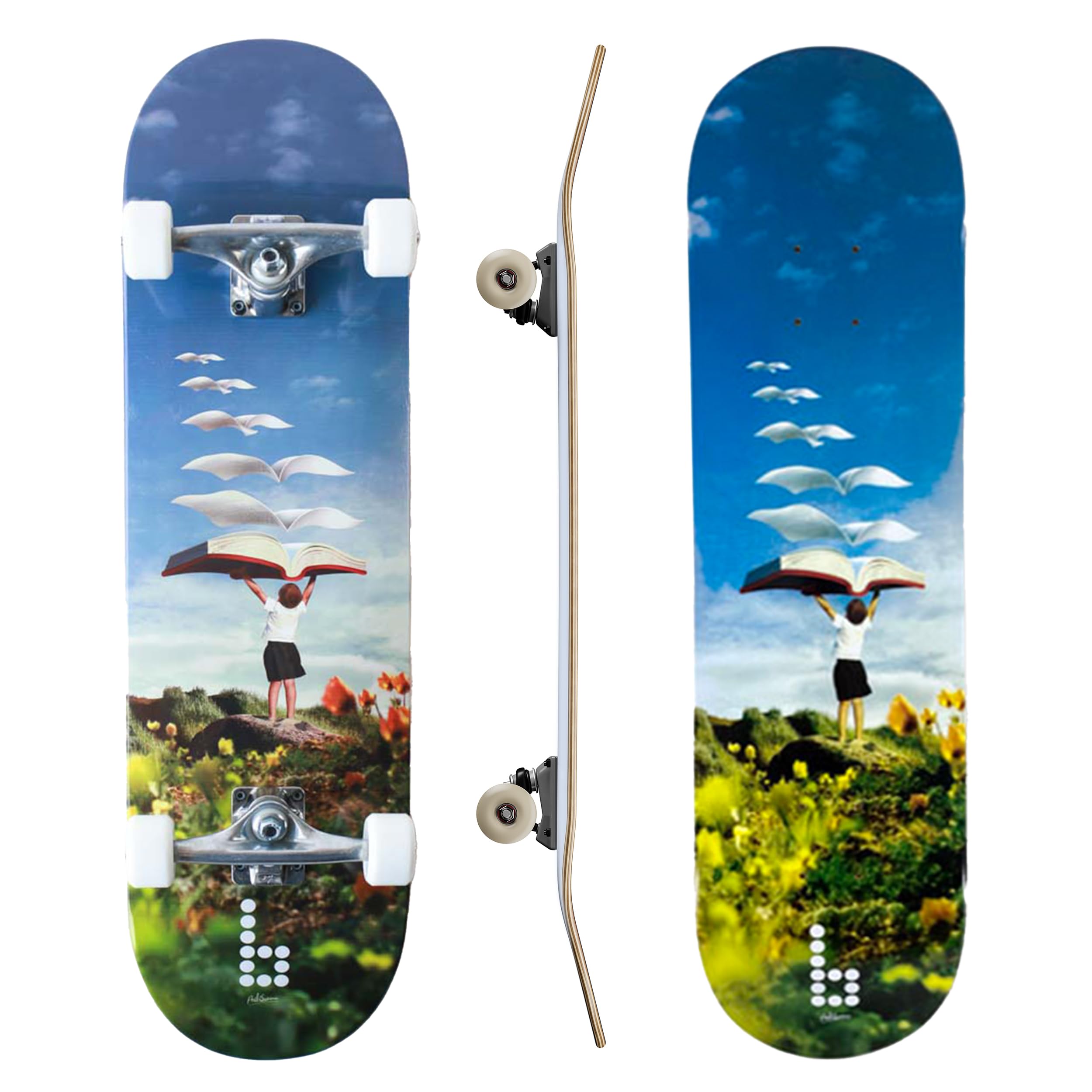 Braille Complete Skateboard for Adults & Teens - 31.5