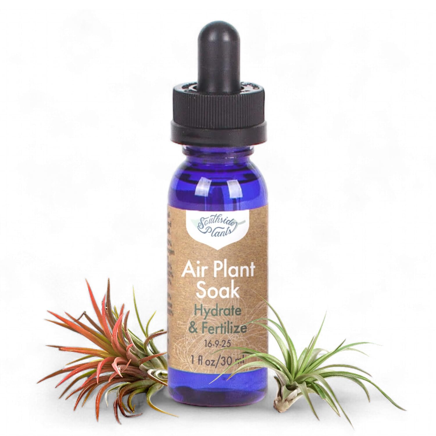 Air Plant Fertilizer Concentrated Soak by Southside Plants - Weekly Plant Food & Gentle Mist Formula for Houseplants - 1 oz | Perfect for Indoor Gardens, Terrariums & Home Decor