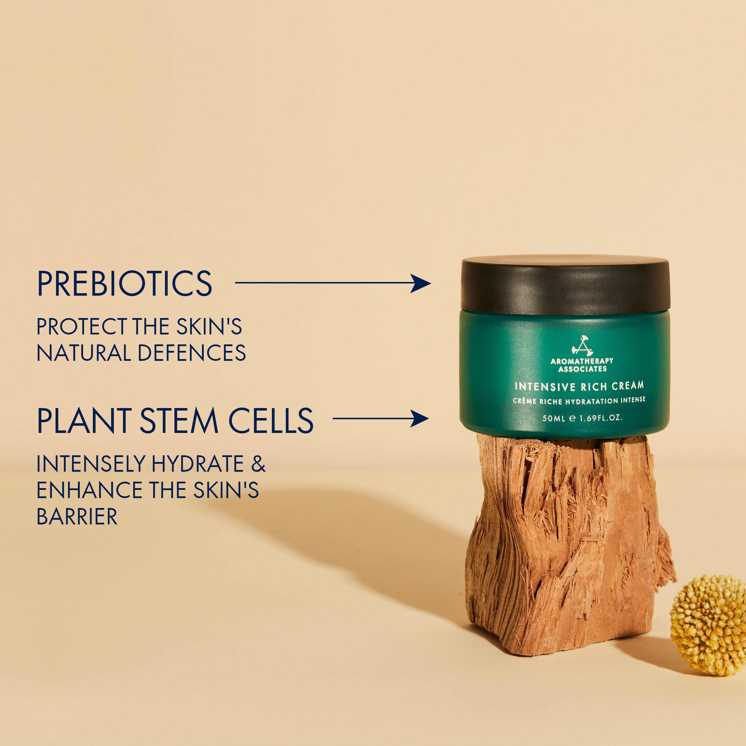 Intensive Rich Cream for Deep Hydration & Anti-Aging - Luxury Face Moisturizer for Dry Skin - Perfect for Night Care & Daily Skincare Routine