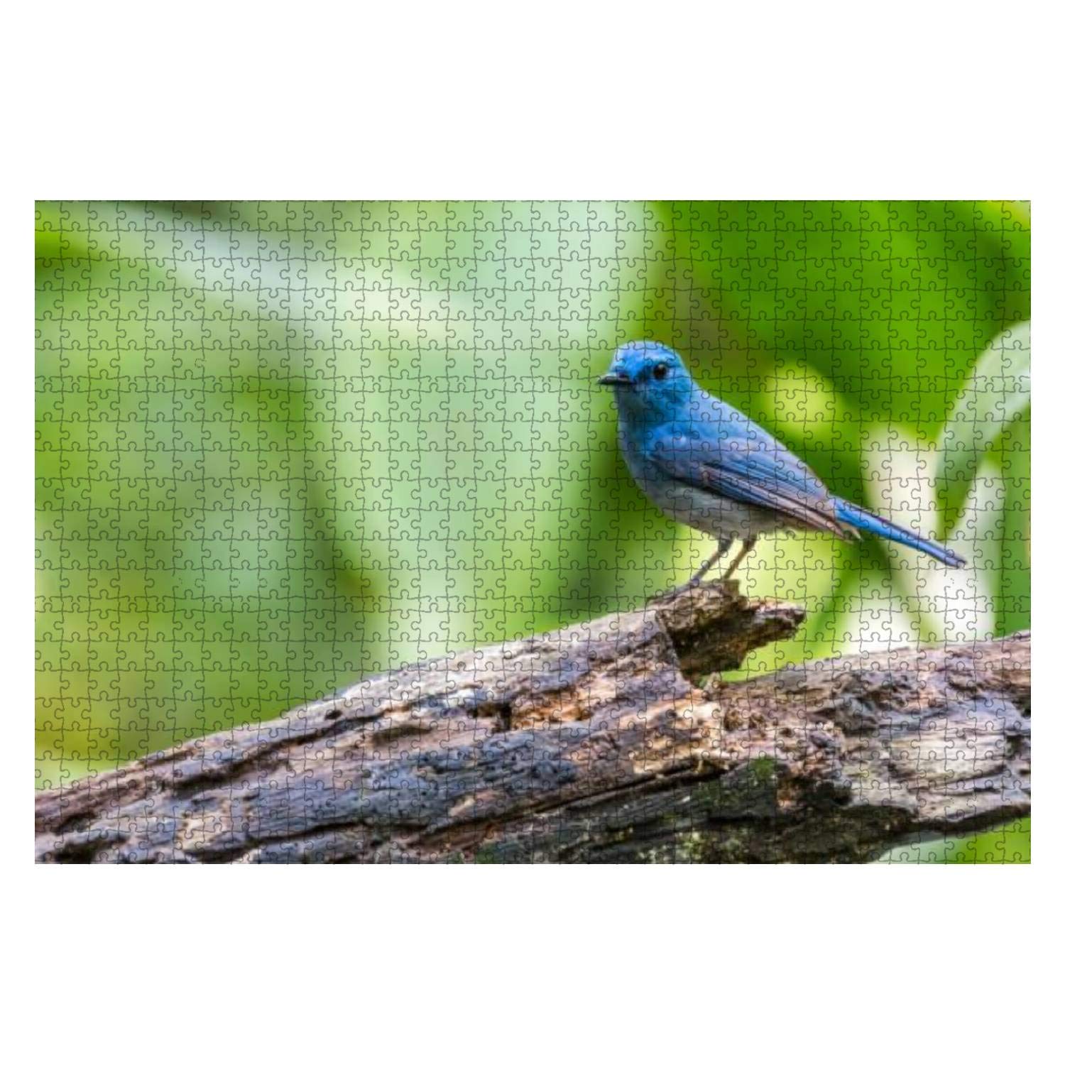 1000-Piece Wooden Jigsaw Puzzle - Blue Bird Pale Blue Flycatcher Cyornis Unicolor | Educational & Stress-Relief Puzzle for Adults & Kids | Perfect for Family Game Night, Classroom Activities & Relaxation Therapy
