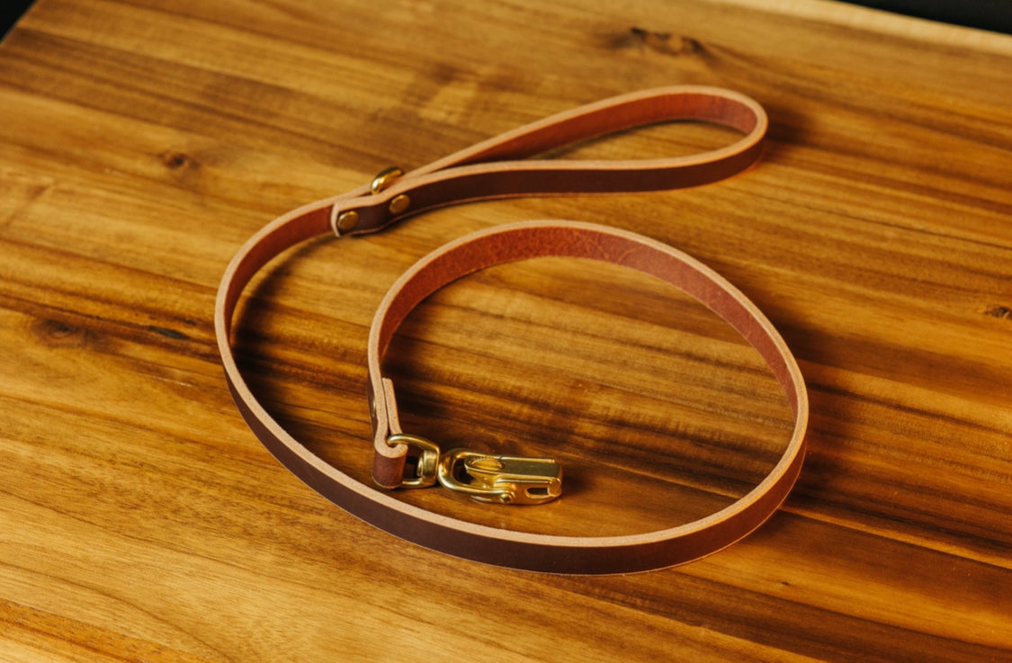 Premium Durable Brown Dog Leash for Medium & Large Dogs - The Jake - Strong Nylon Reflective Pet Walking Lead for Safety - Perfect for Daily Walks, Jogging & Outdoor Adventures