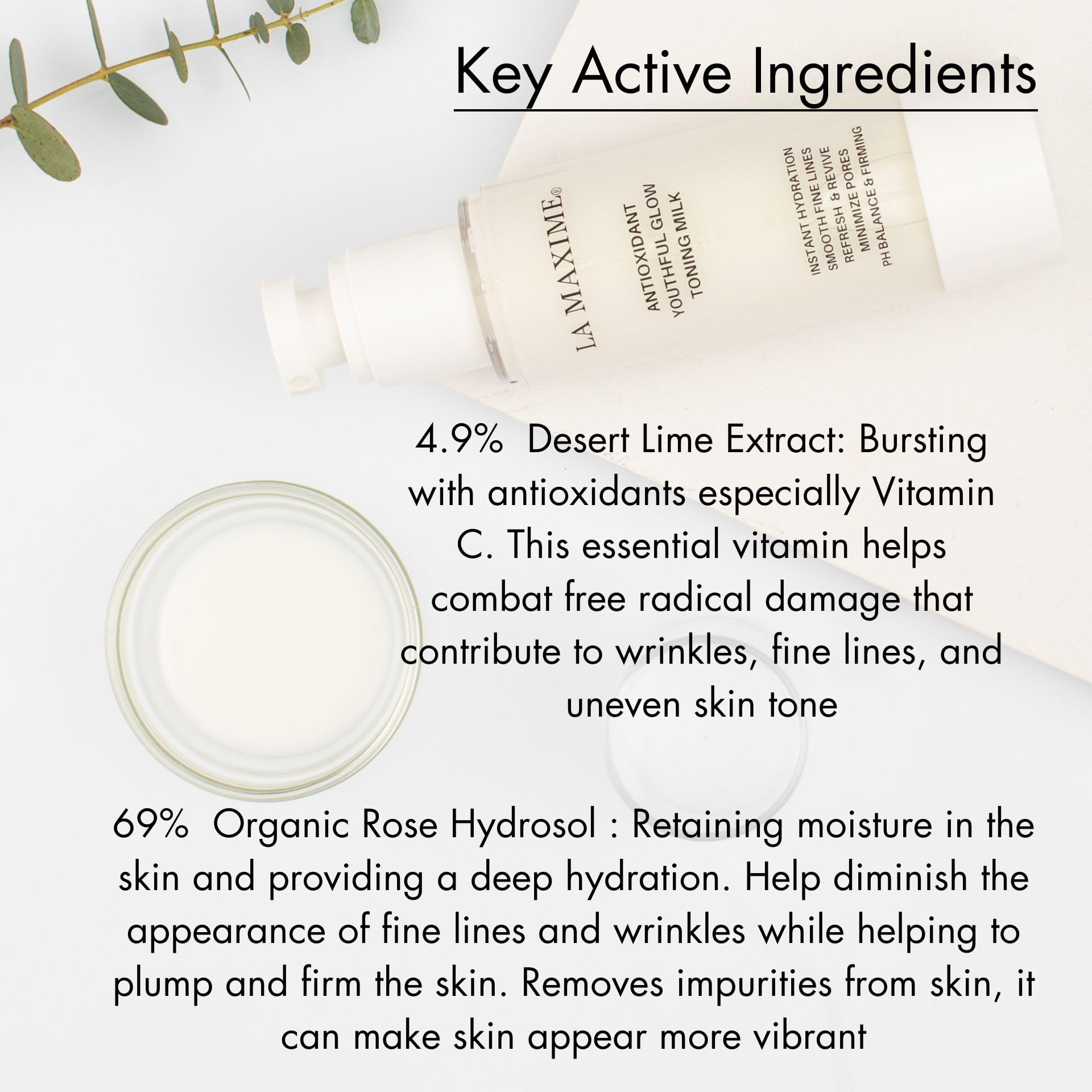 Antioxidant Youthful Glow Toning Milk - 2.7 Fl Oz Facial Moisturizer for Brightening & Hydrating Skin | Perfect for Daily Skincare Routine & Anti-Aging Care