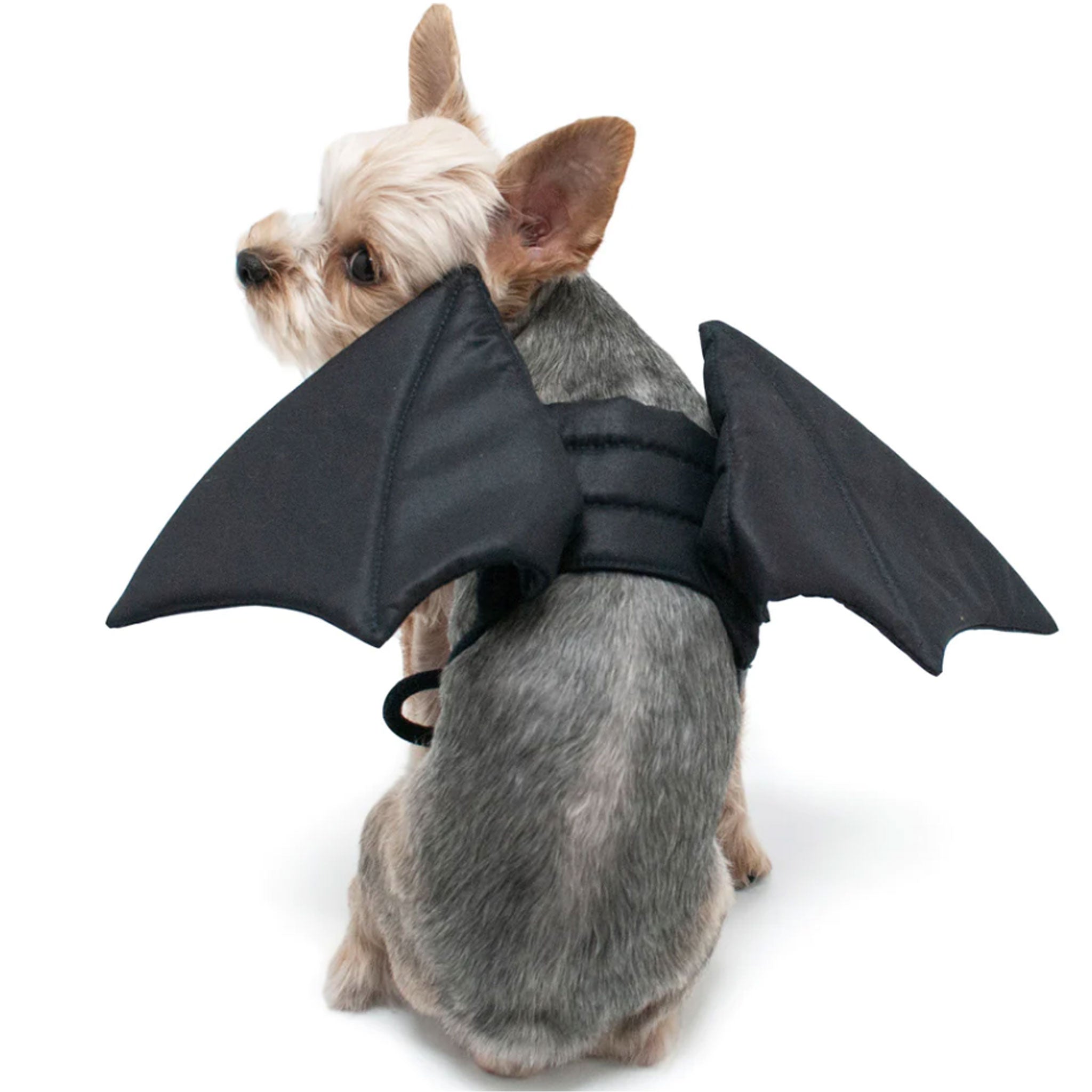 Dogo Pet Fashions Bat Wings Dog Costume - Halloween Pet Costume for Small & Large Dogs - Perfect for Halloween Parties & Pet Dress Up