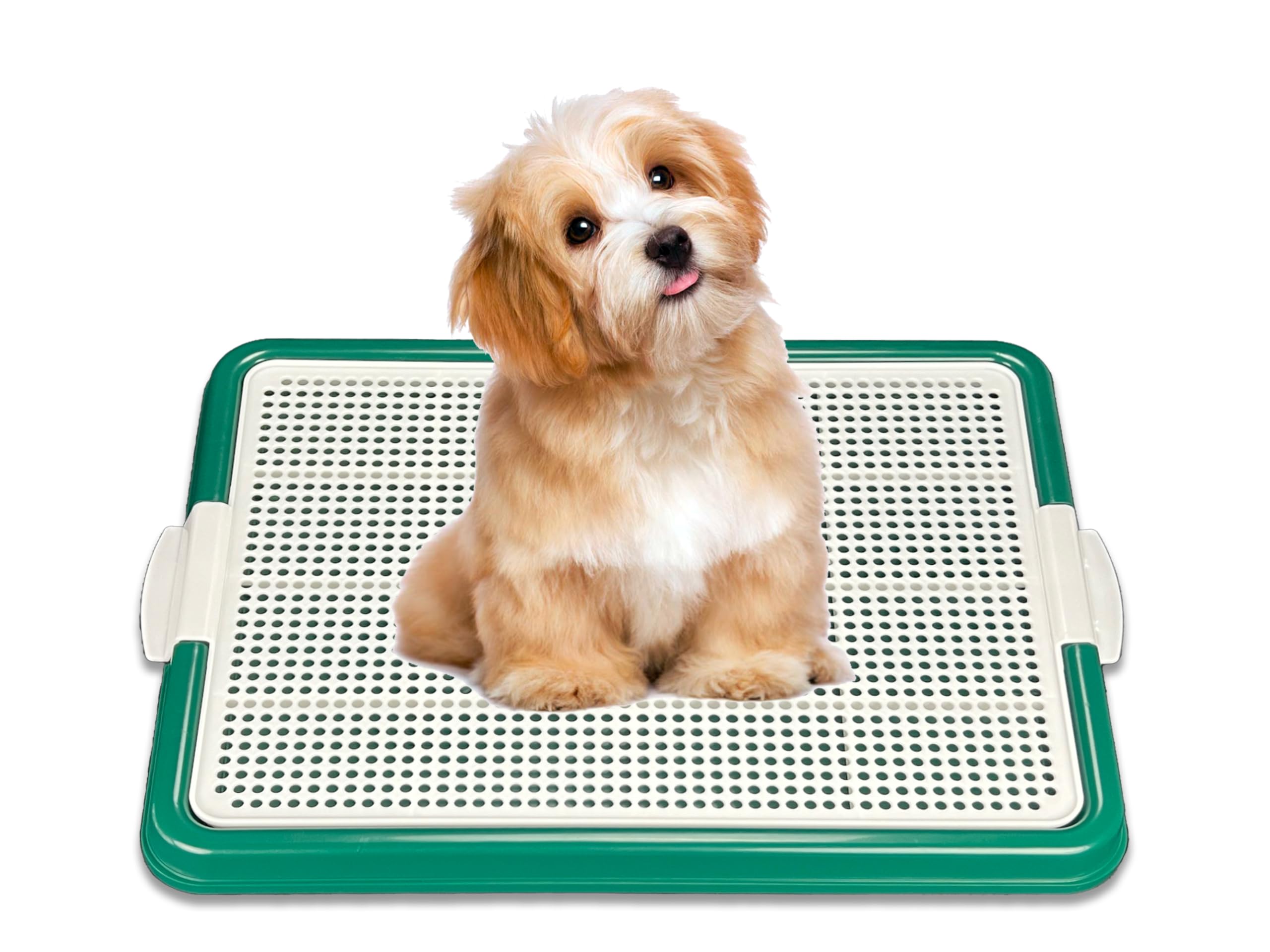 Dog Pee Pad Holder - 22.5”X16.5” Puppy Potty Training Tray for Small Medium Dogs | Non-Slip Waterproof Base | Indoor Outdoor Use | Green