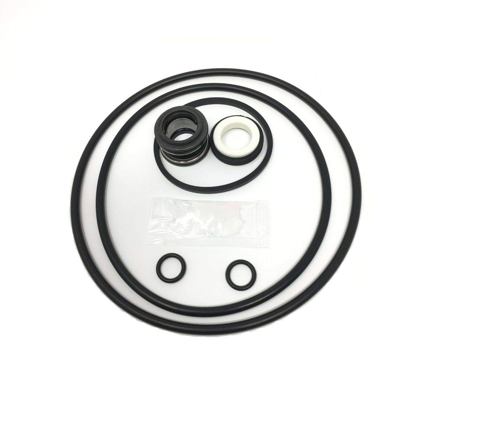Raseuonr O-Ring Seal Rebuild Repair Kit for Jacuzzi Magnum Pool Pump - 14 Piece Set | Hot Tub & Spa Pump Maintenance Replacement Parts | Perfect for Pool Equipment Repair & Water Leak Prevention