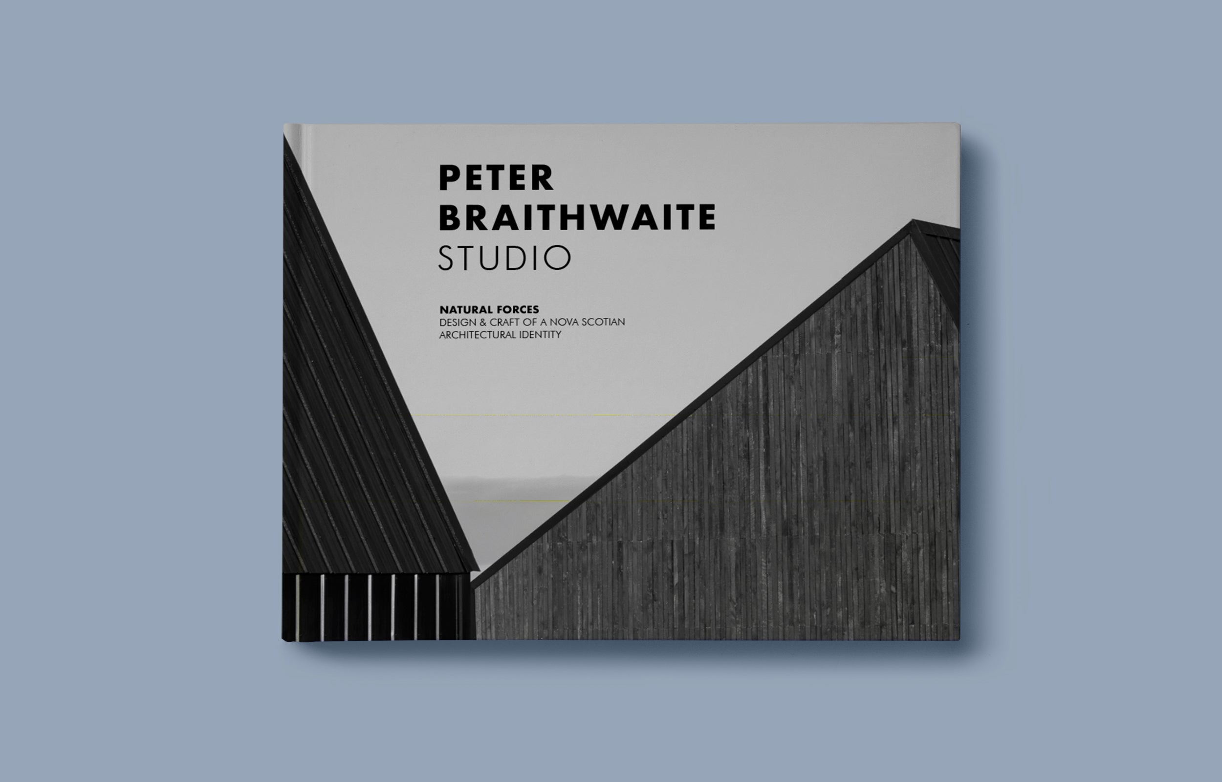 PETER BRAITHWAITE STUDIO: Handcrafted Nova Scotian Architectural Art - Natural Forces Inspired Home Decor & Wall Art for Modern Living Spaces