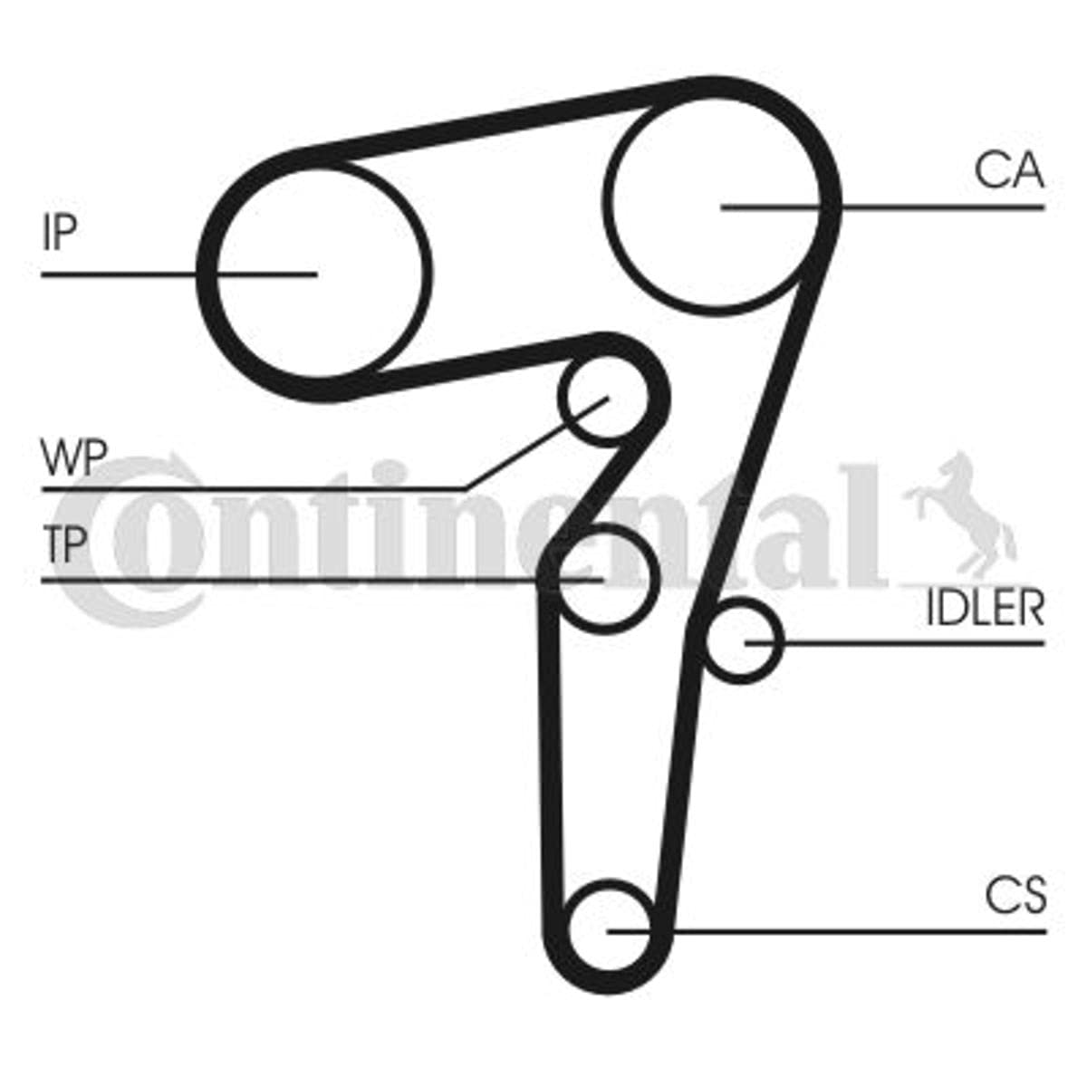 Continental Contitech CT1155WP1 Water Pump Timing Belt Kit - Replacement for Honda, Toyota, Nissan - Durable Engine Timing Belt & Water Pump Combo - Perfect for Car Maintenance & Engine Repair