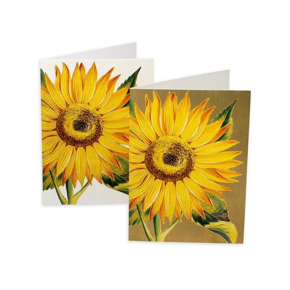 Caspari Sunflower Blank Note Cards Set - 16 Elegant Greeting Cards with Envelopes | Perfect for Thank You Notes, Birthday Wishes & Special Occasions