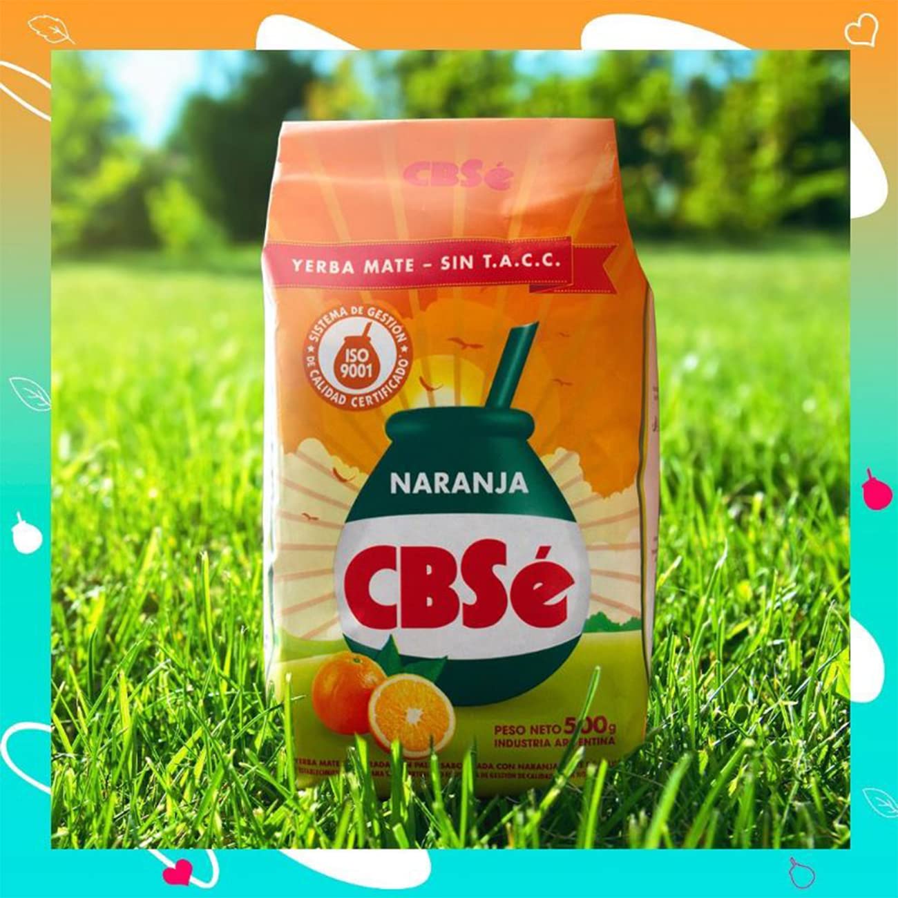 Organic CBSe Yerba Mate 1.1 lb (4 Pack) - Fresh, Natural Energy Drink for Hot or Cold Brew | Perfect for Morning Boost, Workout Fuel & Social Gatherings