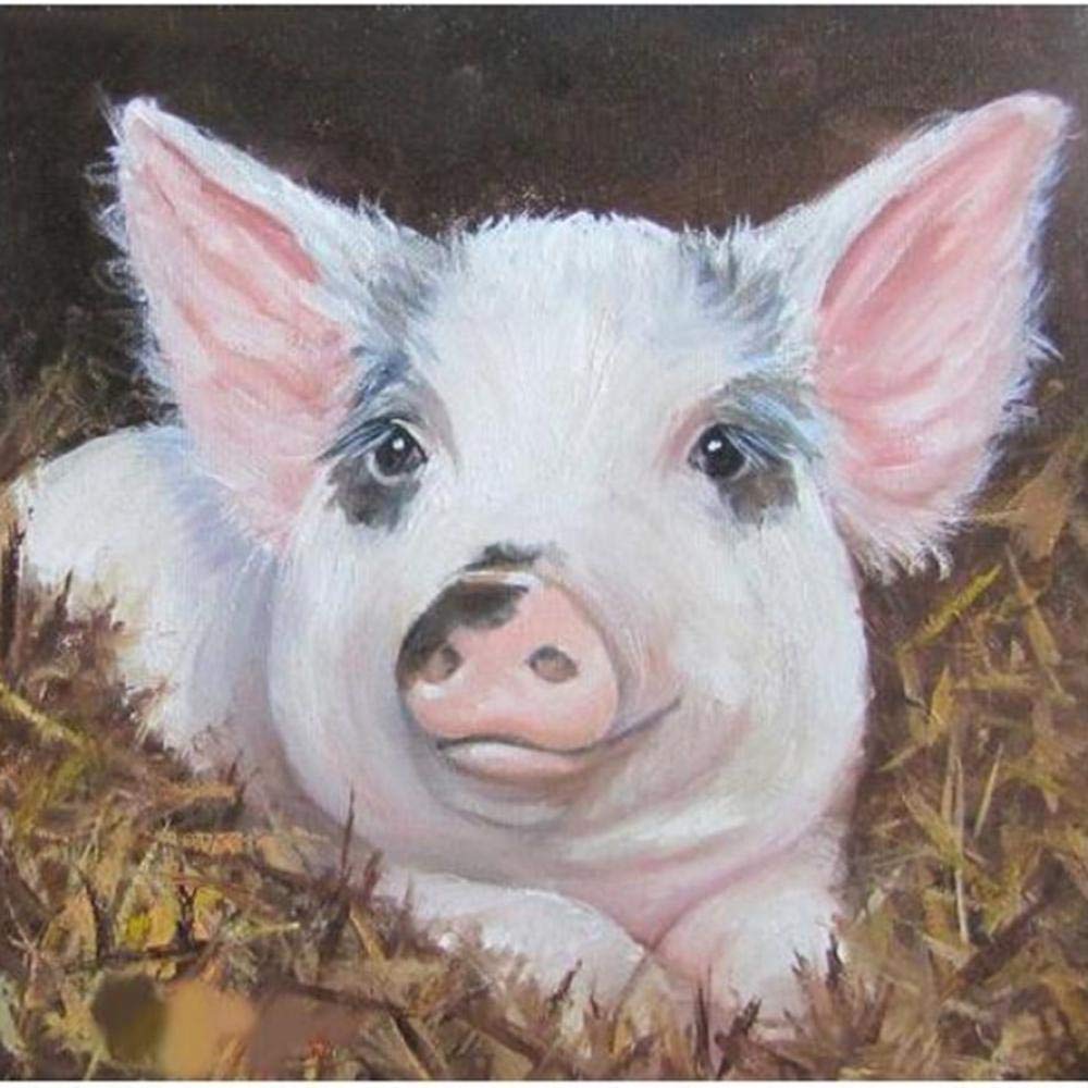 DIY Pig Paint by Numbers Kit for Adults & Kids - Pre-Printed Oil Painting Canvas Art Gift Set - Fun Home Decor & Creative Relaxation Activity