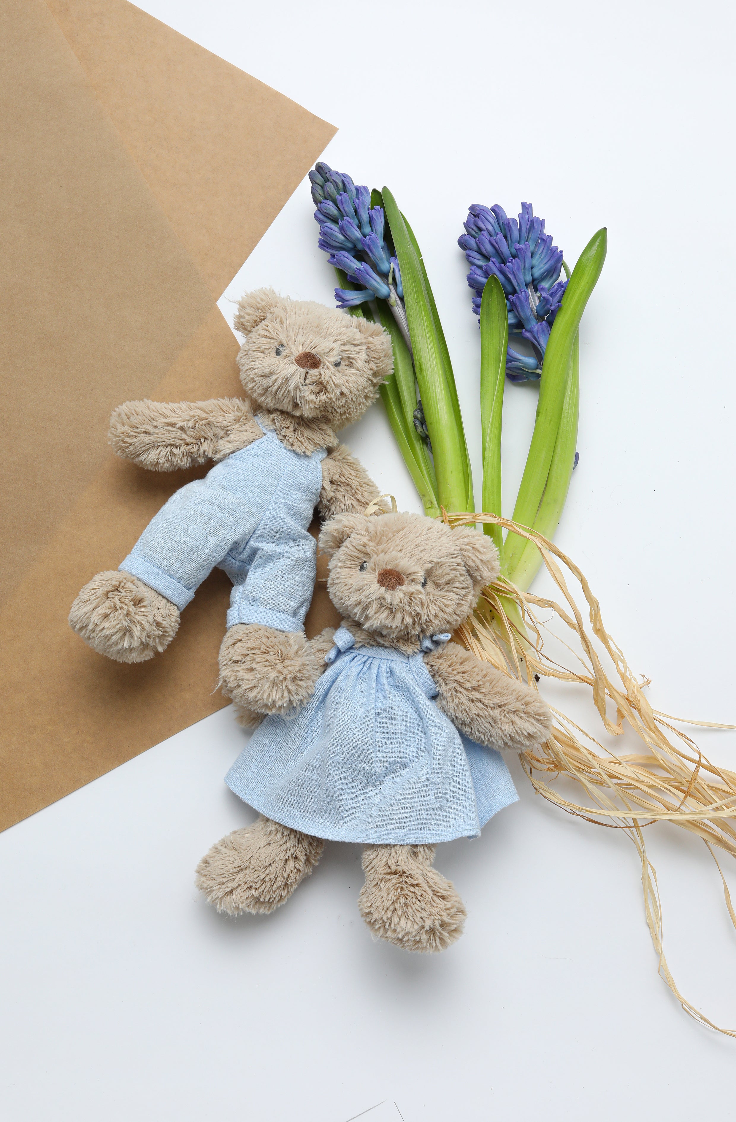 Adorable Honey Bear Baby Dress in Soft Baby Blue - Perfect for Newborn Photoshoots, Christenings & Special Occasions