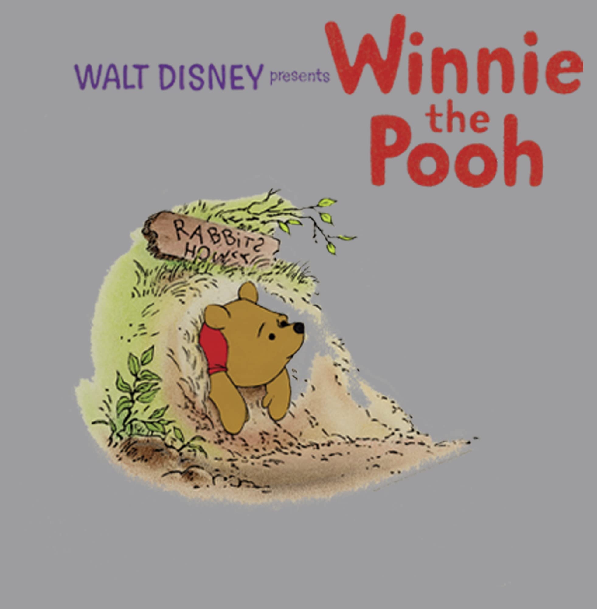 Disney Boys' Winnie The Pooh Vintage Hoodie - Soft Cotton Pullover Sweatshirt for Kids | Cute Cartoon Character Design | Perfect for School, Playdates & Family Outings