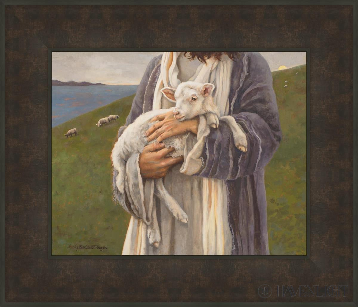 Amazing Grace by Sandy Freckleton Gagon - Inspirational Christian Book for Worship, Bible Study & Gift Giving