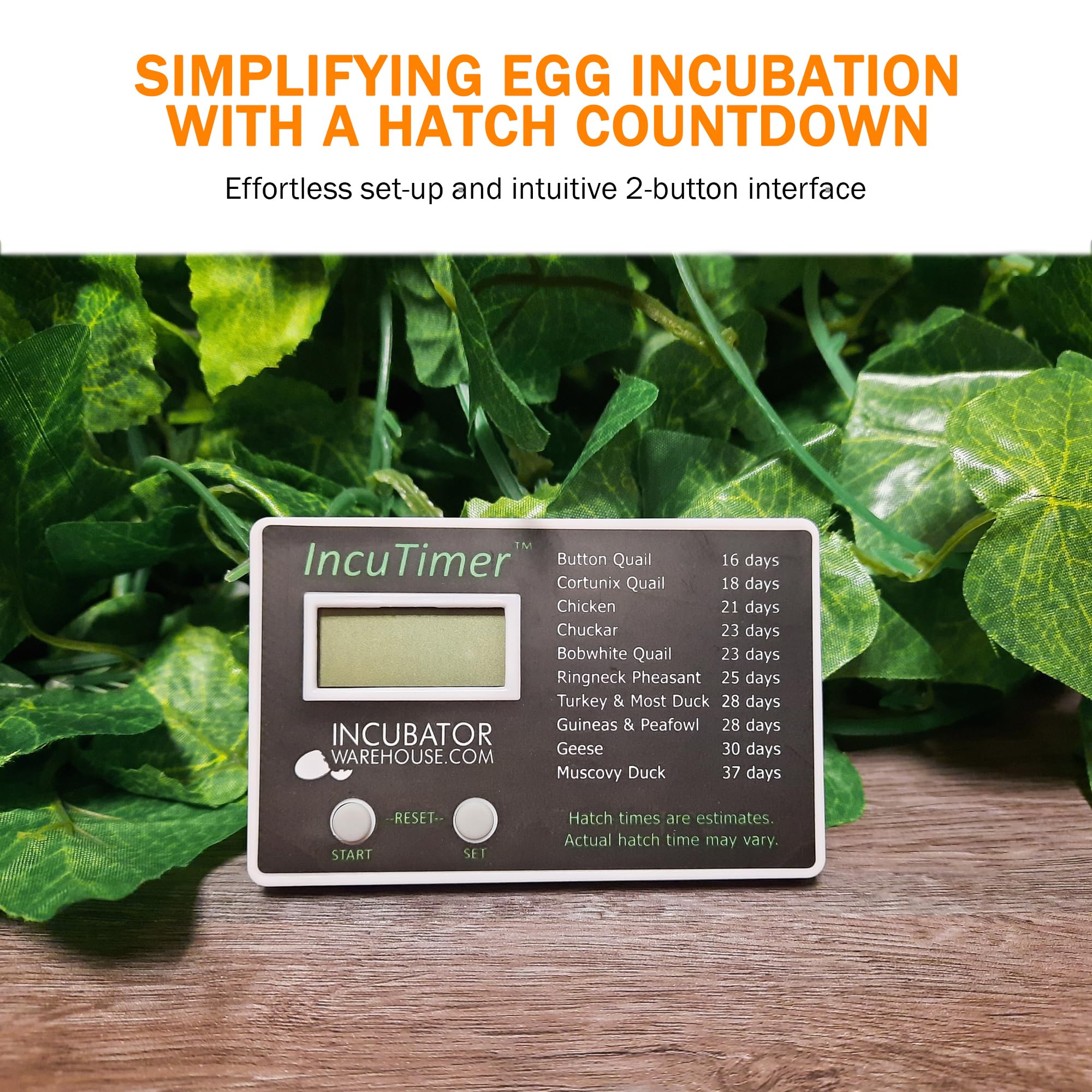 Best Egg Incubator Timer - IncuTimer with 90-Day Countdown & Easy Setup | Perfect for Poultry Hatching, Chicken Egg Incubation & Backyard Farming